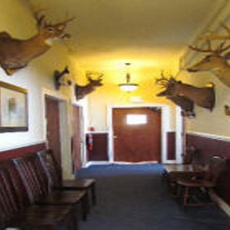Macarthur Inn Narrows Eksteriør billede