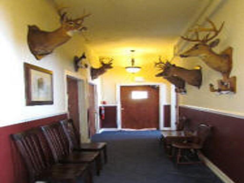 Macarthur Inn Narrows Eksteriør billede