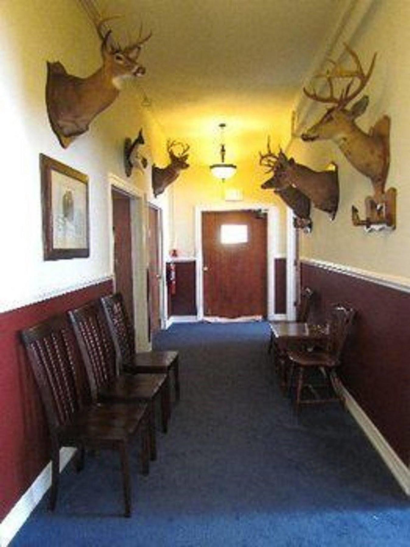 Macarthur Inn Narrows Eksteriør billede